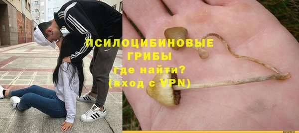 спиды Абинск