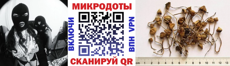 Галлюциногенные грибы Cubensis  Кирсанов 